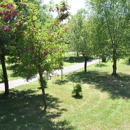 Campsite Du Moulin De Thoard